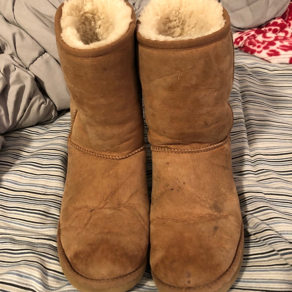 chestnut brown uggs.